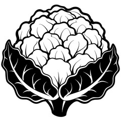 Cauliflower vector silhouette illustration svg file