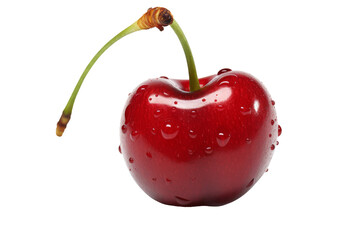 Tart Rainier Cherry Ready to Enjoy Isolated on Transparent Background