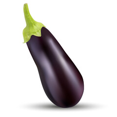 Vector image of eggplants on a white background.