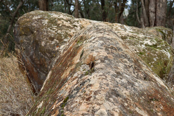 close up of boulders in australian bushland
