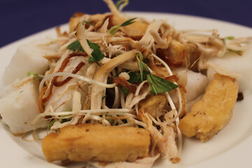 Close up of tahoe longtong, Surinamese Indonesian dish on a white plate. Steamed tofu and rice with chicken, baked onions and garlic, ketjap sambal and garnished with celery and bean sprouts.
