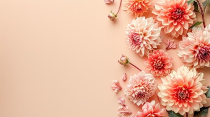 Obraz premium Autumn dahlias flowers bouquet on beige background