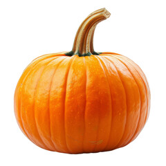 Obraz premium Pumpkin Isolated on a Transparent Background
