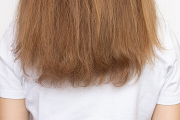 Back view of a woman with damaged dry hair and split ends, isolated on a white background. Concept...