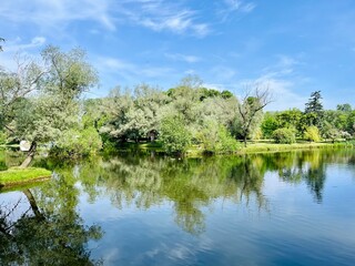 Fototapeta premium Beautiful tender blue sky reflection on the lake surface, trees silhouettes reflection on the lake surface, summer lake in the park