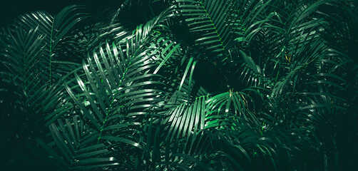 Close-up of a group of green leaves, providing a textured and abstract nature background. Rich foliage textures, exotic greenery, and botanical patterns.