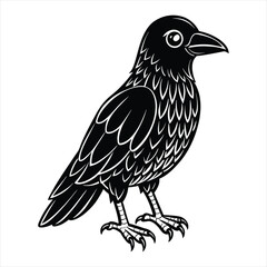 Fototapeta premium educational coloring pages for kids,crow coloring page animal drawings crow coloring pages ,vector . AI GENERATED