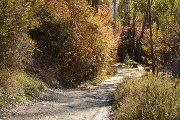 Obraz premium autumn view of picturesque village Alborz Mountain and on background