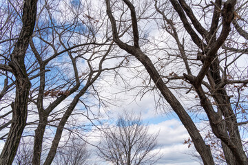 冬から早春にかけての景色