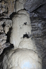 A limestone deposit that resembles a scary head. Inside a cave located in New Athos, Abkhazia. It...