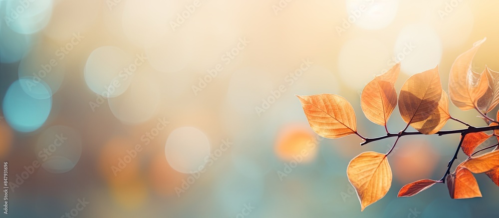 Poster leaves bokeh. creative banner. copyspace image
