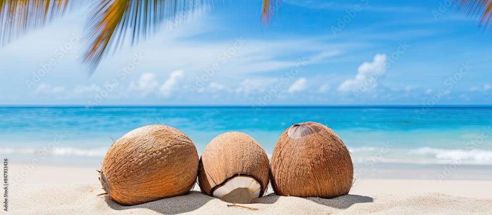 Poster Pile of coconuts. Creative banner. Copyspace image