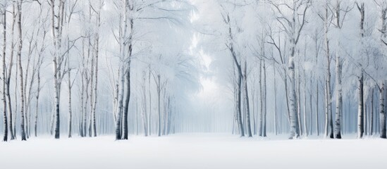 Trunks of trees in the winter forest. Creative banner. Copyspace image