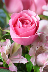 薔薇の花　マクロイメージ