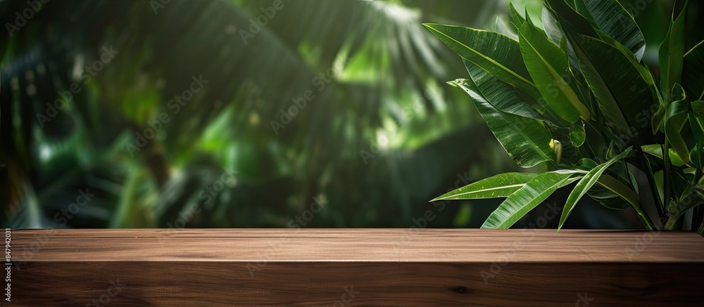 Poster wood plank with abstract natural green leaf background for product display. creative banner. copyspa