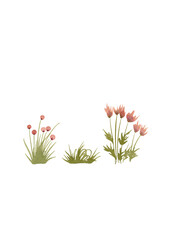 Wildflowers in sketch style. Watercolor drawing. Collection of bright flowers. Ideal for designing fabric, wallpaper, tableware and floral products. White background