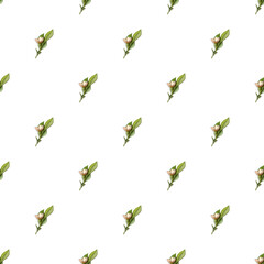 Blooming seamless pattern of leaf sprigs with flowers. Nature art print. Hand drawn background. Creative design. Botanical watercolor illustration