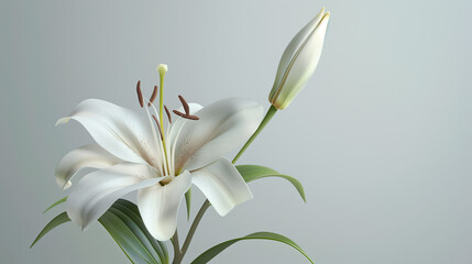 Fototapeta premium Close-up of yellow orange lily flower and bud against a neutral background, colorful art of ikebana