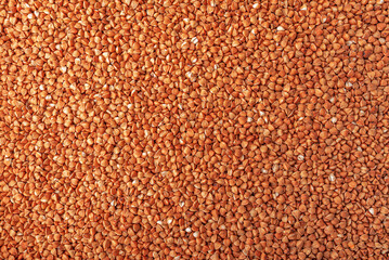 Dry buckwheat texture. Buckwheat texture as background.