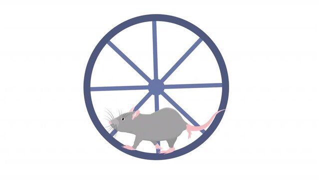 Hamster runs in a wheel. Animation animal pet, alpha channel. Cartoon