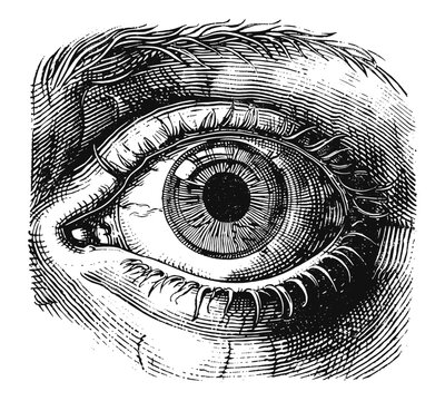 Woodcut illustration of an eye. Vintage grunge vector design element for artworks, poster, cards, web and collages.