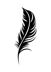 Obraz premium Feather vector icon isolated on white background