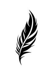 Feather vector icon isolated on white background