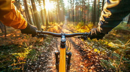 Mountain biking in the forest, first-person view