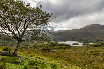 Landscape in the mountains 5
