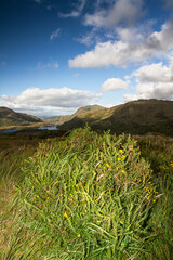 Landscape with clouds and lake 3