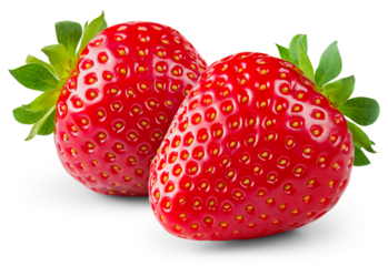 Strawberry isolated png. Strawberry on transparent background. PNG format. Two strawberries with no background. Full depth of field.
