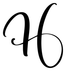 Vector calligraphy hand drawn capital letter H logo drop cap. Script font. Handwritten brush style