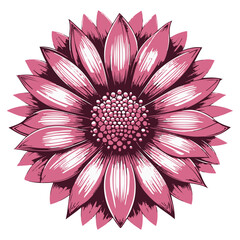 Detailed pink flower silhouette with many petals and a textured center isolated on transparent background
