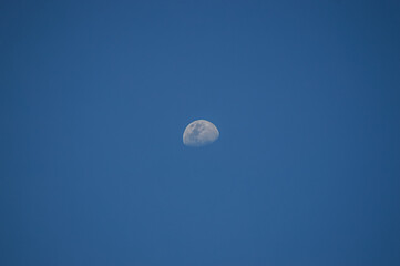 Half moon on blue sky background.