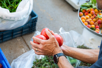 The man with the red tomato in the market.