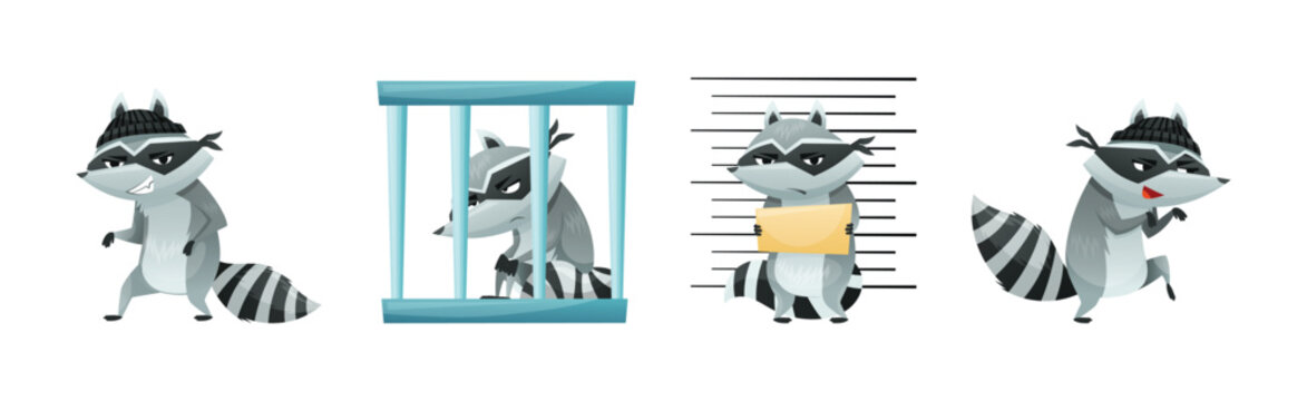 Raccoon Burglar with Striped Tail Wearing Mask Stealing and Hacking Vector Set