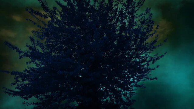 Paranormal Storm Over Tree Rotating Shot