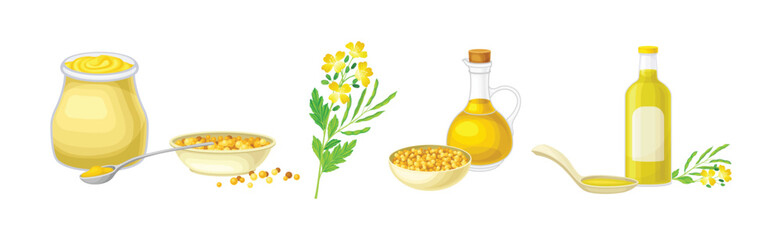 Mustard Plant with Seeds and Yellow Flower Vector Set