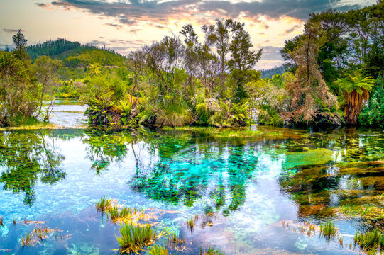 neuseeland, pupu springs, te waikoropupū springs, 