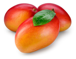 Mango isolated. Three red mango fruit with leaf on white background. Mango with clipping path top view. Full depth of field.