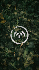 strange symbols in white on a background of leaves