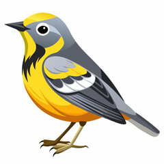 warbler vector illustration, white background