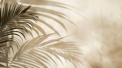 Shadow of palm leaf on beige background. Abstract nature background