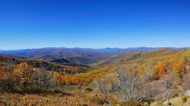 A panoramic view of a mountain range painted in autumn colors under a clear blue sky. 