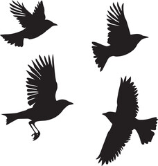 silhouettes of birds