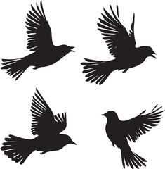 silhouettes of eagle