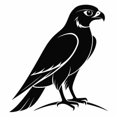 Black and White Falcon (hawk) Outline Silhouette, white background