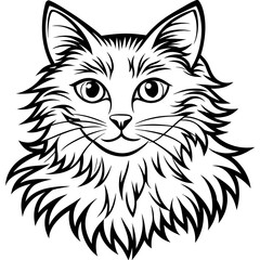 angora blonde cat vector vector illustration