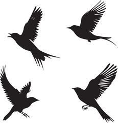 silhouettes of birds