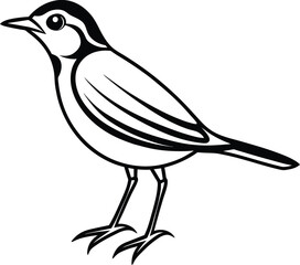  Sitting Bird for kids coloring page vector illustration